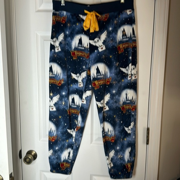 Harry Potter Other - Harry Potter Hedwig Heading to Hogwarts Silky Fleece Lounge Pants Size M (8-10)